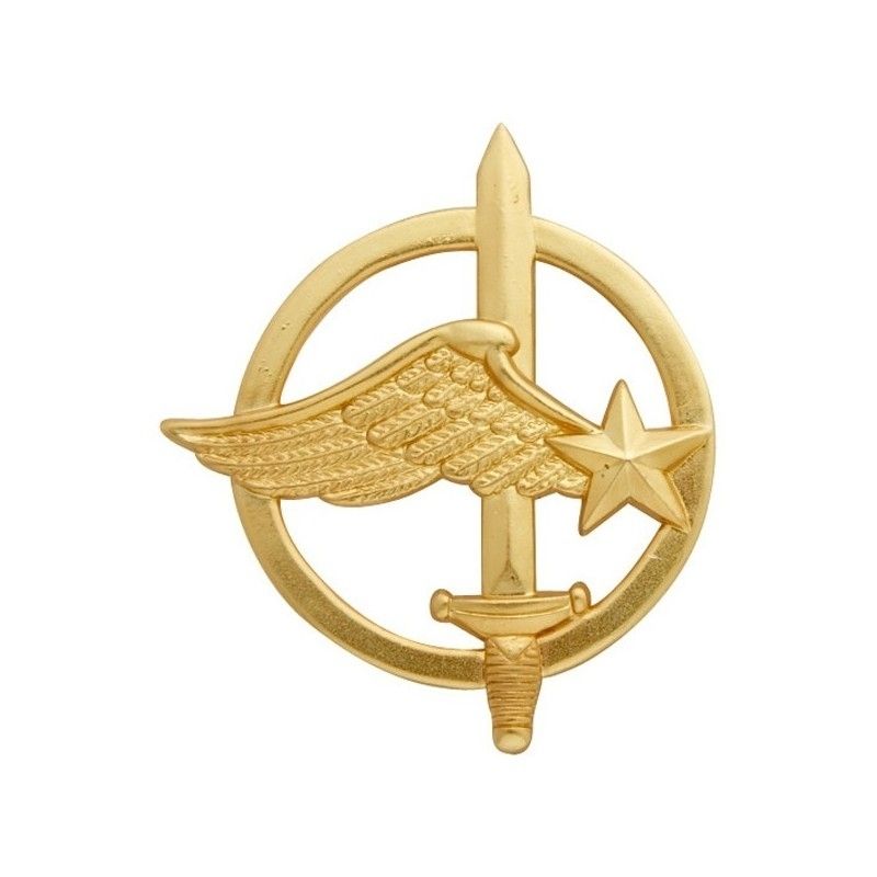 Insigne de béret Commando de l'air Armée française - DAN MILITARY