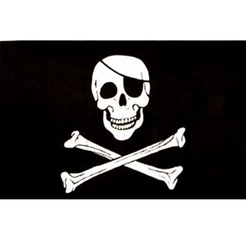 Drapeau pirate en polyester noir - AMSCAN - 92 x 60 cm - Cdiscount